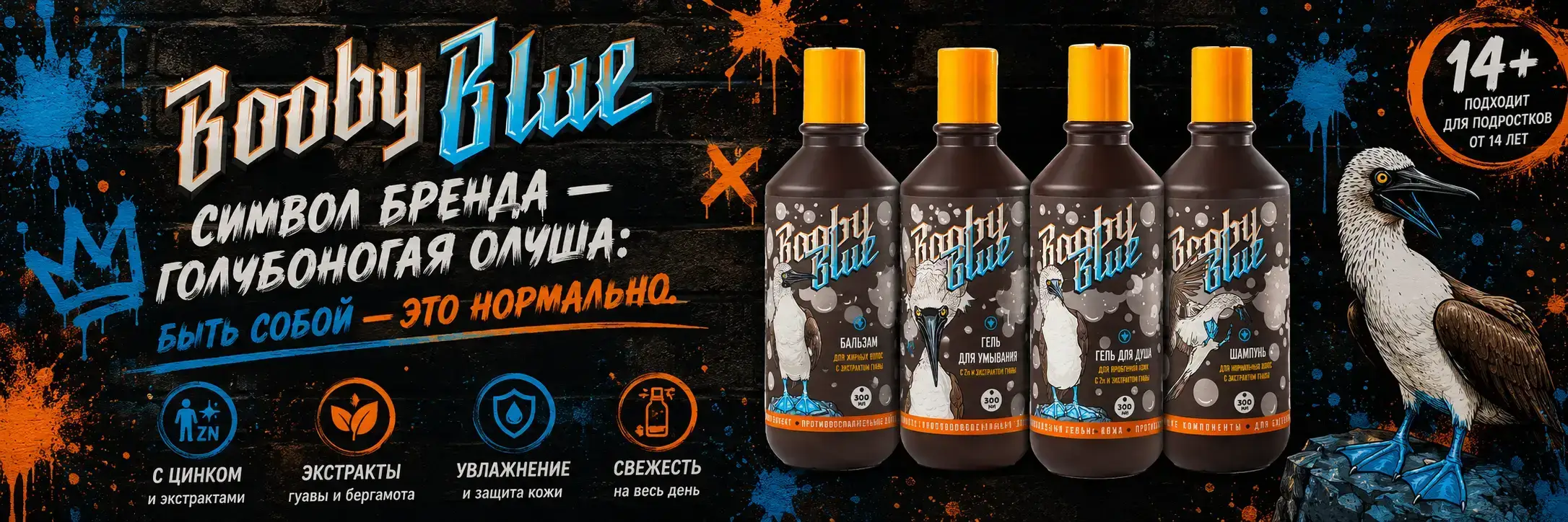 Баннер Booby Blue